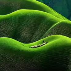 喀拉峻大草原