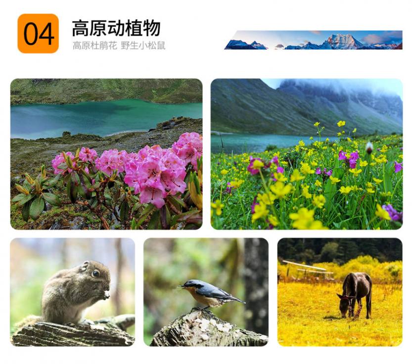 2021洛克线最终_13
