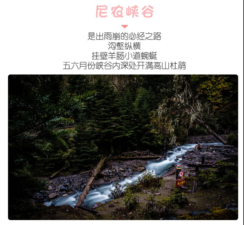 尼农峡谷 尼农峡谷