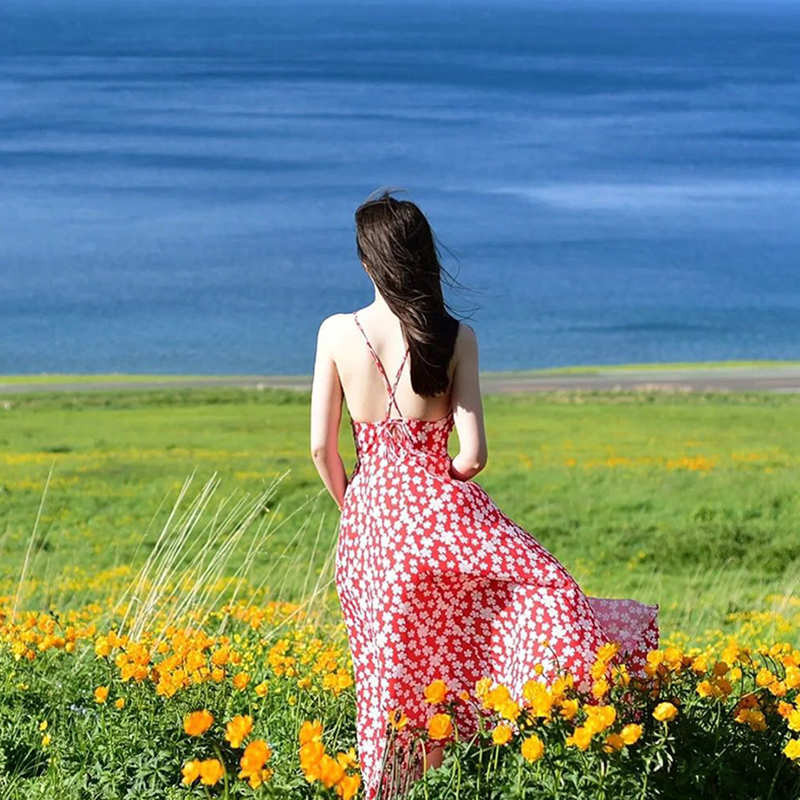 新疆旅行赛里木湖恰西库尔德宁包车接车送伊犁旅游3天2晚跟团游