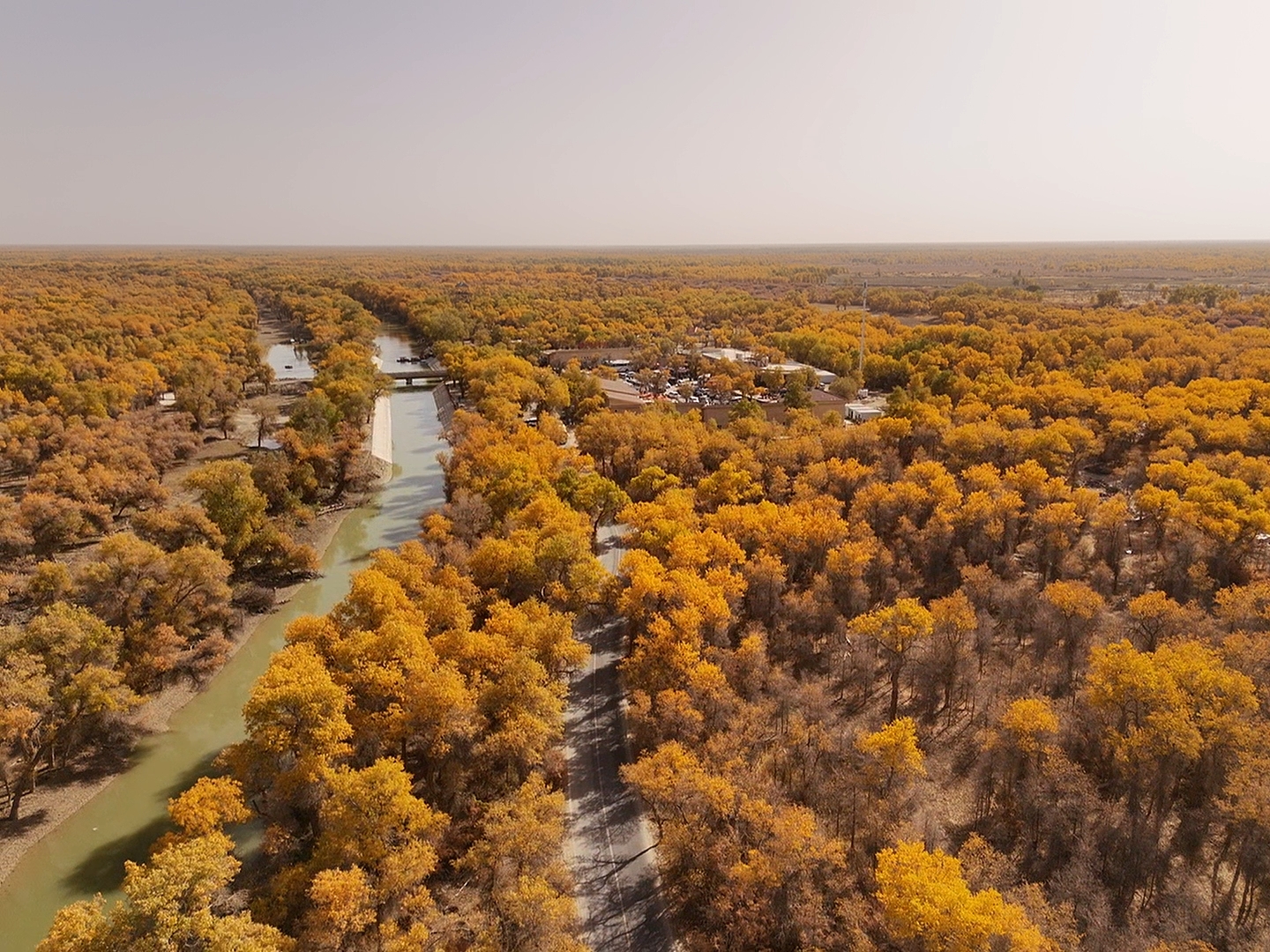 dji_fly_20231025_141244_0_1698214364801_photo_low_quality dji_fly_20231025_141244_0_1698214364801_photo_low_quality