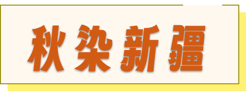 矩形小标-秋染新疆