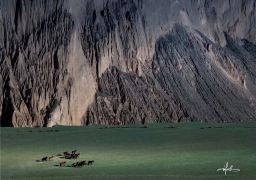 travel picture