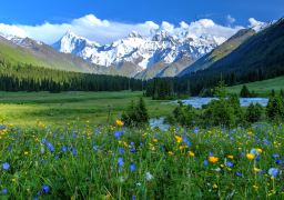 travel picture