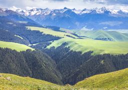 travel picture