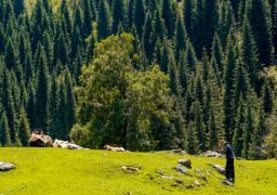 travel picture