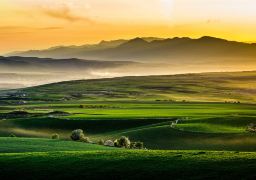 travel picture