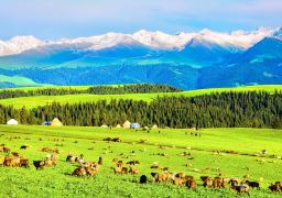 travel picture