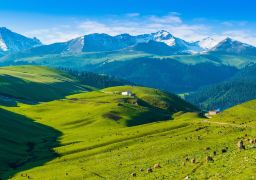 travel picture
